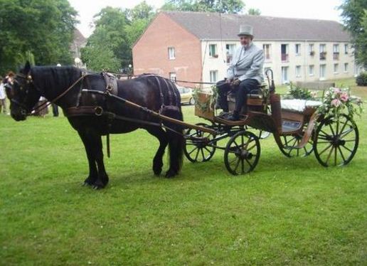 Location de calèche, mariage, moment unique